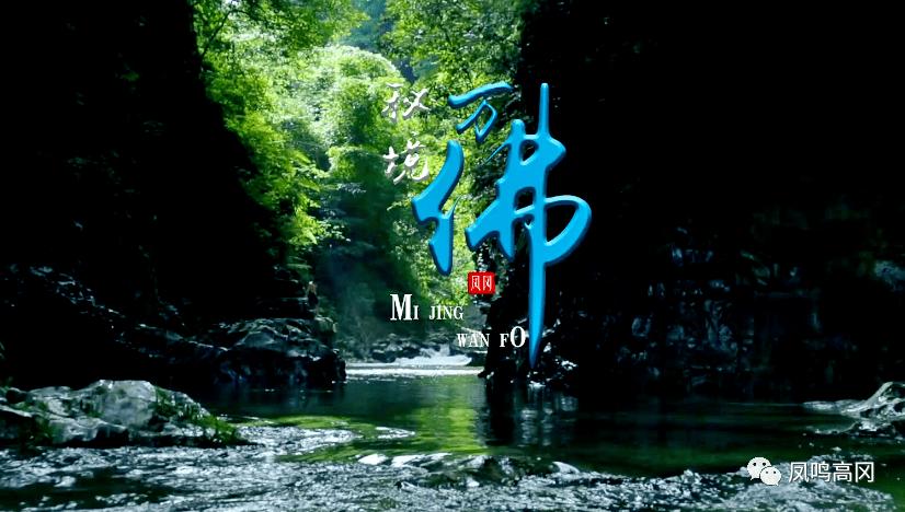 抖音极速版2017年旧版本安装-全面高效的有问必答平台