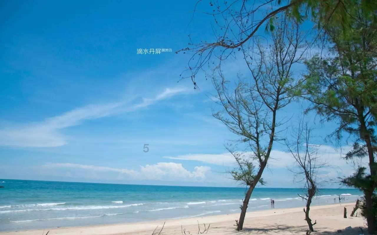 妙鸭相机app下载官网
