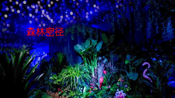 七夕送这个礼物会不会被说崇洋媚外？